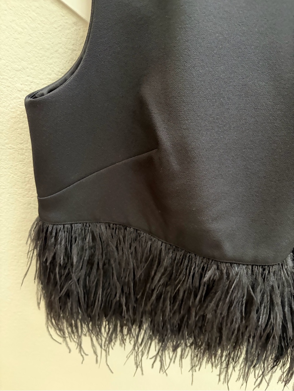 kate spade Black Sleeveless Crewneck Top with Feather Trim - Picture 10 of 11